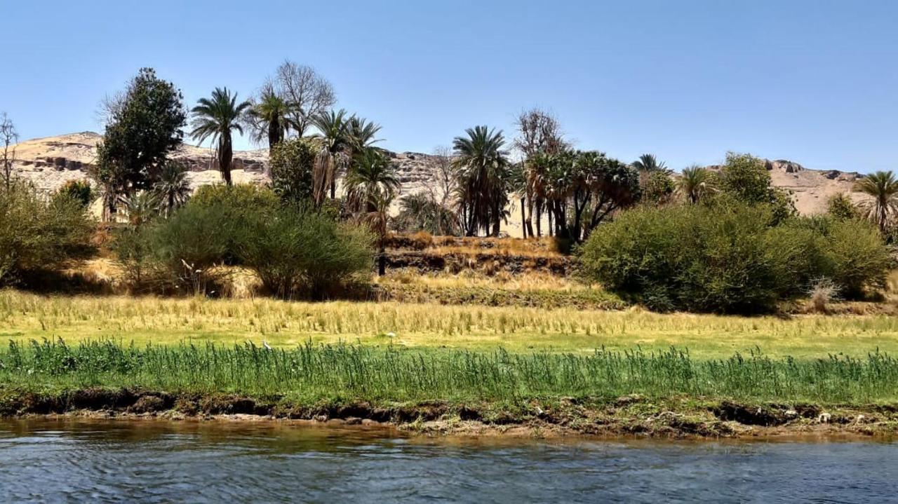 Habibi Nubian Guest House-Nubian Hospitality أسوان المظهر الخارجي الصورة