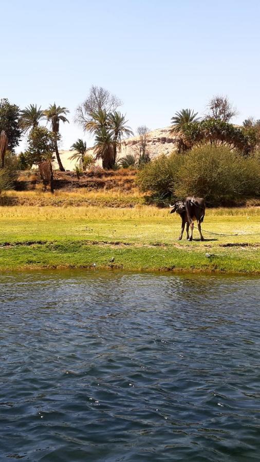 Habibi Nubian Guest House-Nubian Hospitality أسوان المظهر الخارجي الصورة