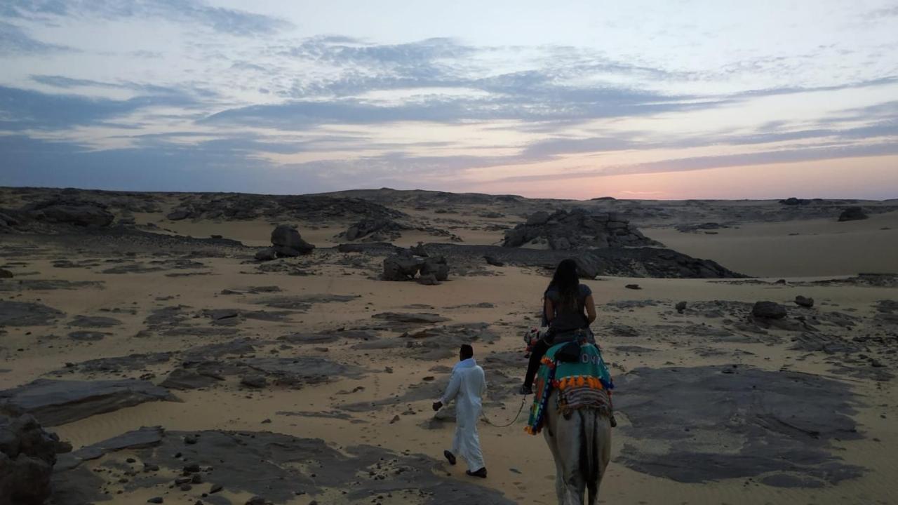 Habibi Nubian Guest House-Nubian Hospitality أسوان المظهر الخارجي الصورة